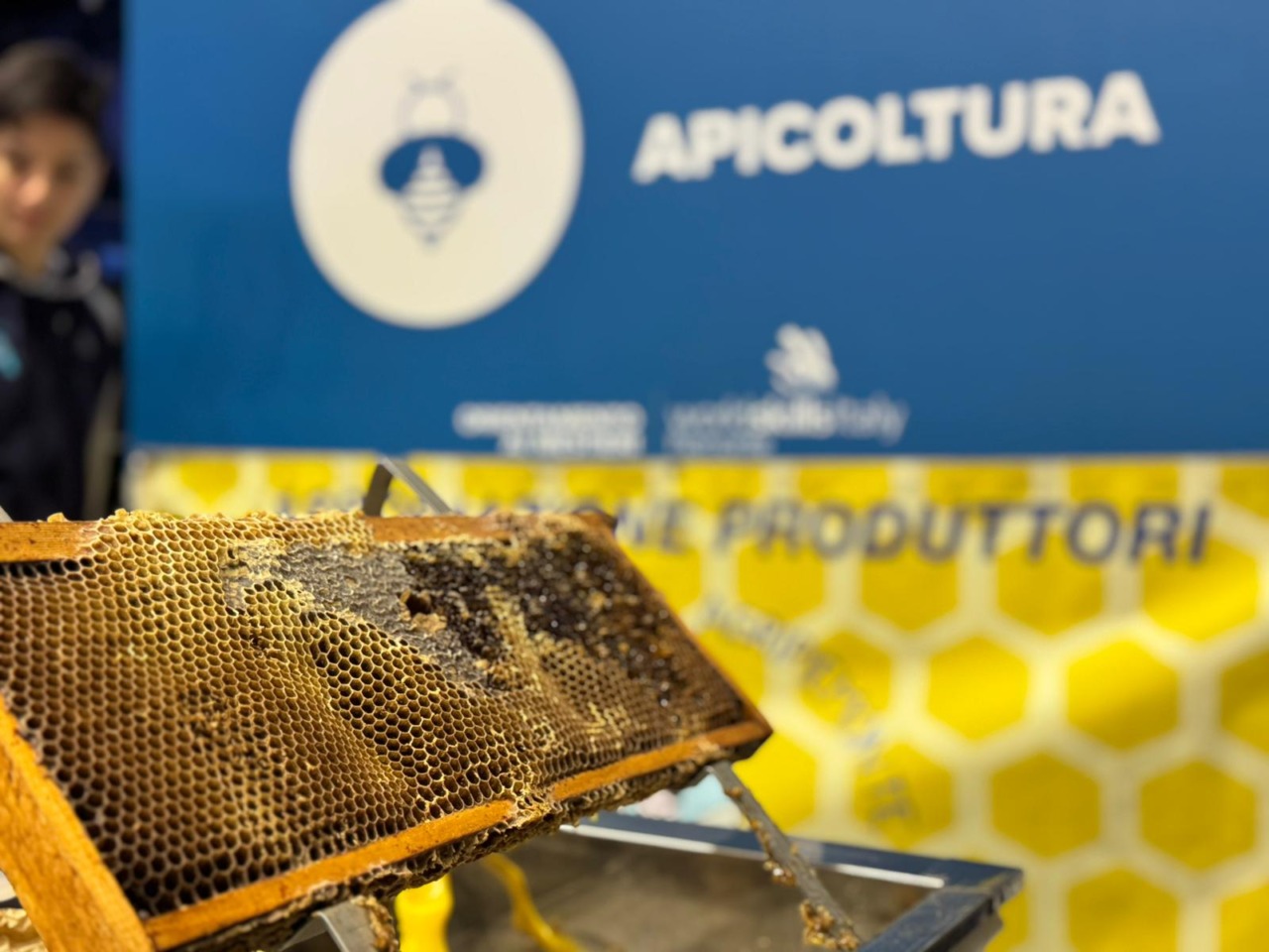 Il regno delle api, sentinelle della natura: dalla Regione 100.000 euro per 50 progetti nelle scuole