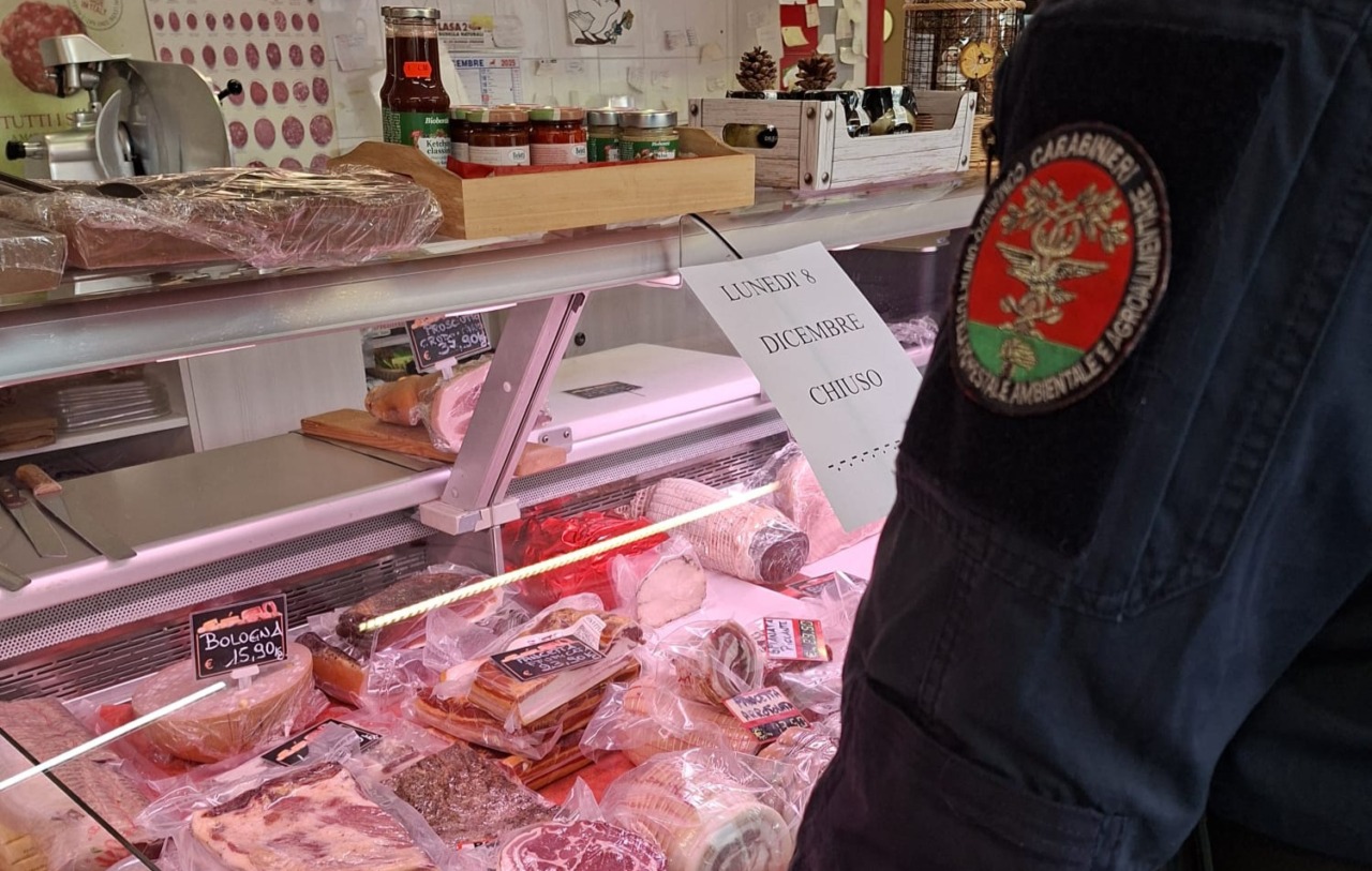 Controlli dei carabinieri in negozi e ristoranti novaresi: sanzioni per 55mila euro e distrutti 350 kg di alimenti
