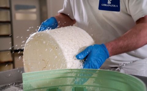 Gorgonzola Dop: produzione 2025, oltre 5 milioni e 400mila forma con +2,72%