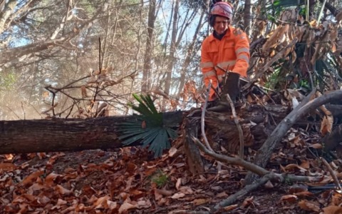 Lavori di manutenzione territoriale per la Squadra Aib e PC Nebbiuno Odv