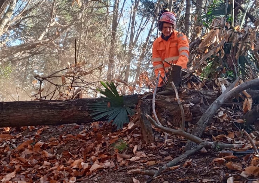 Lavori di manutenzione territoriale per la Squadra Aib e PC Nebbiuno Odv