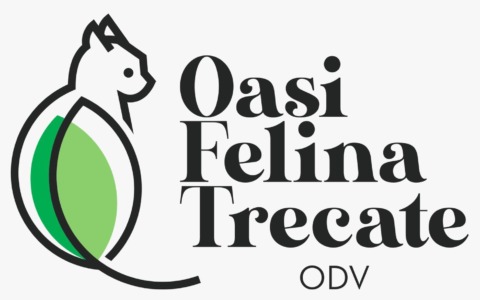 Oasi Felina di Trecate in difficoltà: “Abbiamo bisogno di nuovi volontari”