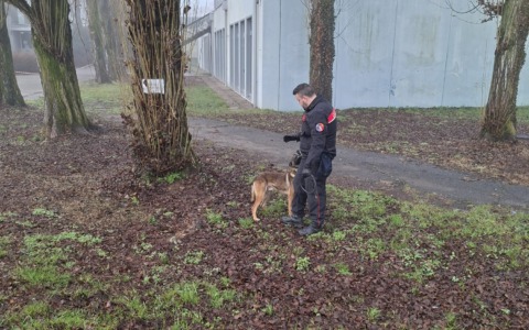 Controlli antidroga con i cani al Fermi di Arona: esito negativo