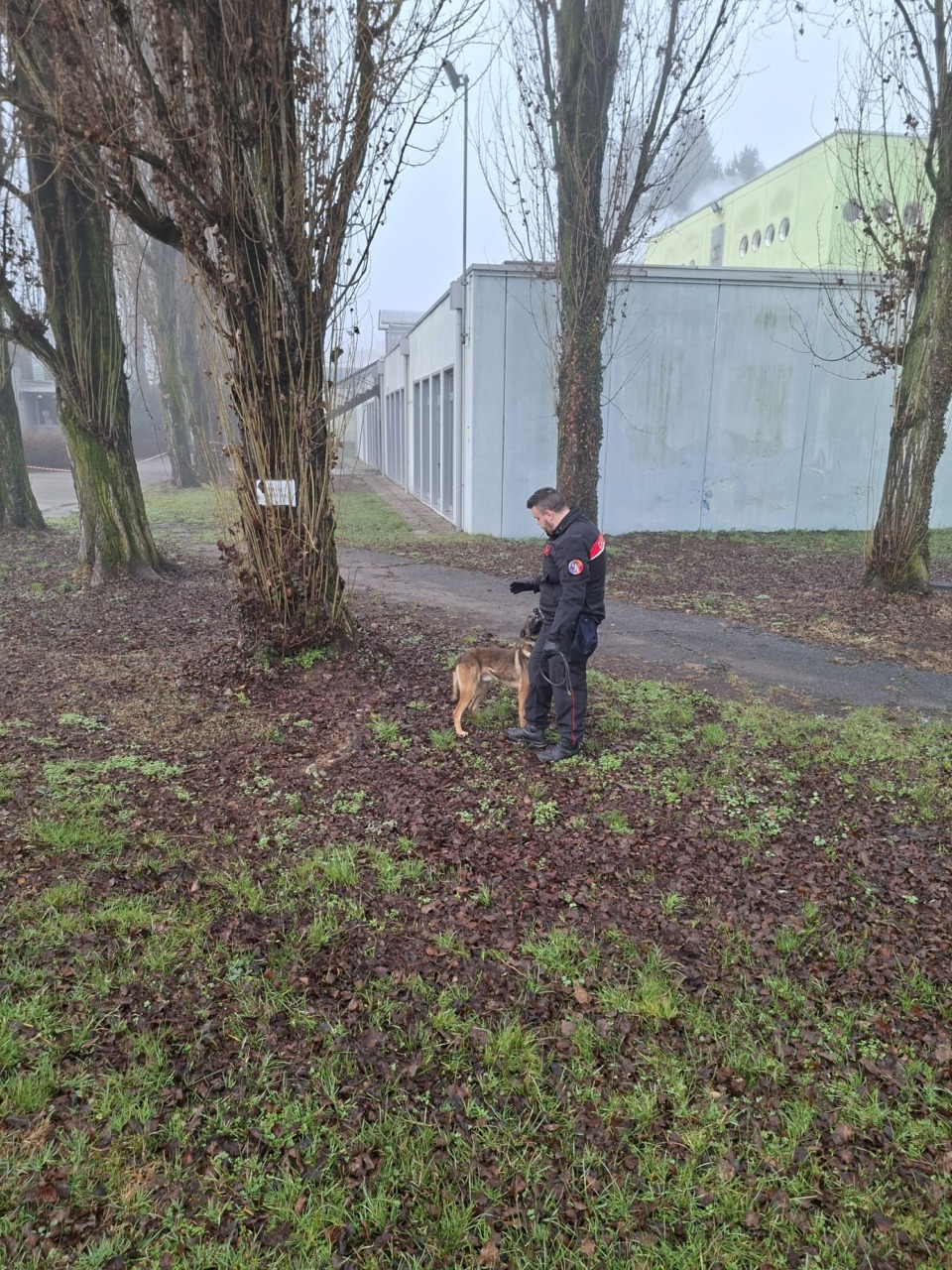 Controlli antidroga con i cani al Fermi di Arona: esito negativo