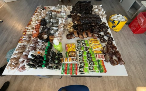 Commercio abusivo in zona stazione: maxi sequestro della Polizia locale