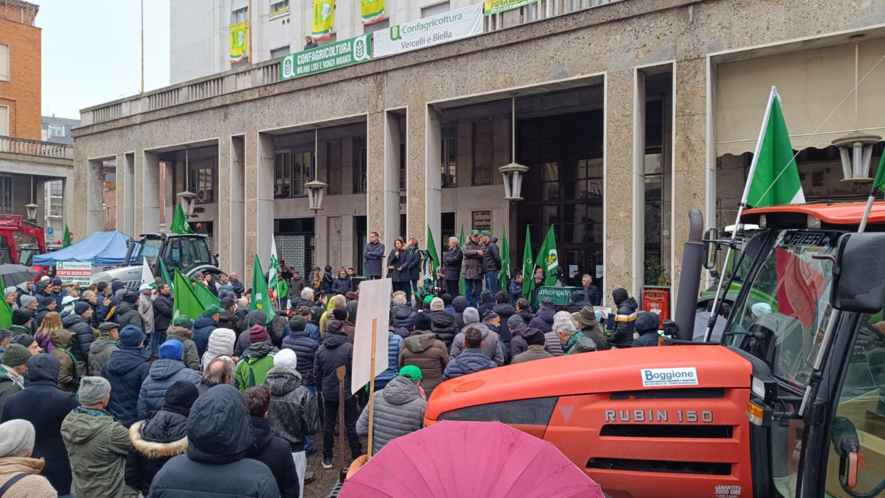 Confagricoltura: prezzi in calo e boom di importazioni, soffre l’intera filiera del riso italiano