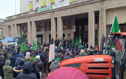 Confagricoltura: prezzi in calo e boom di importazioni, soffre l’intera filiera del riso italiano