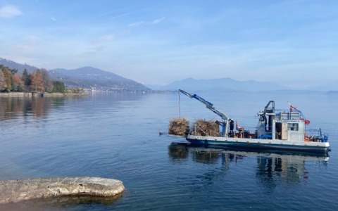 L’amministrazione di Meina sostiene il progetto Incubatoio Naturale