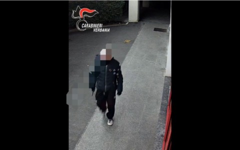 Vandalizza 9 auto parcheggiate: tradito da un giubbotto inconfondibile – IL VIDEO