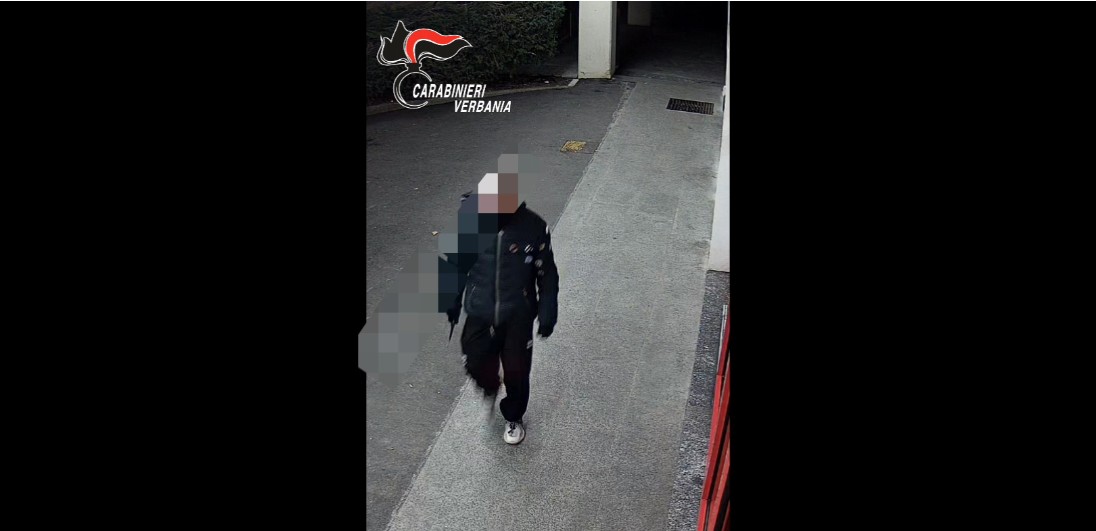 Vandalizza 9 auto parcheggiate: tradito da un giubbotto inconfondibile – IL VIDEO