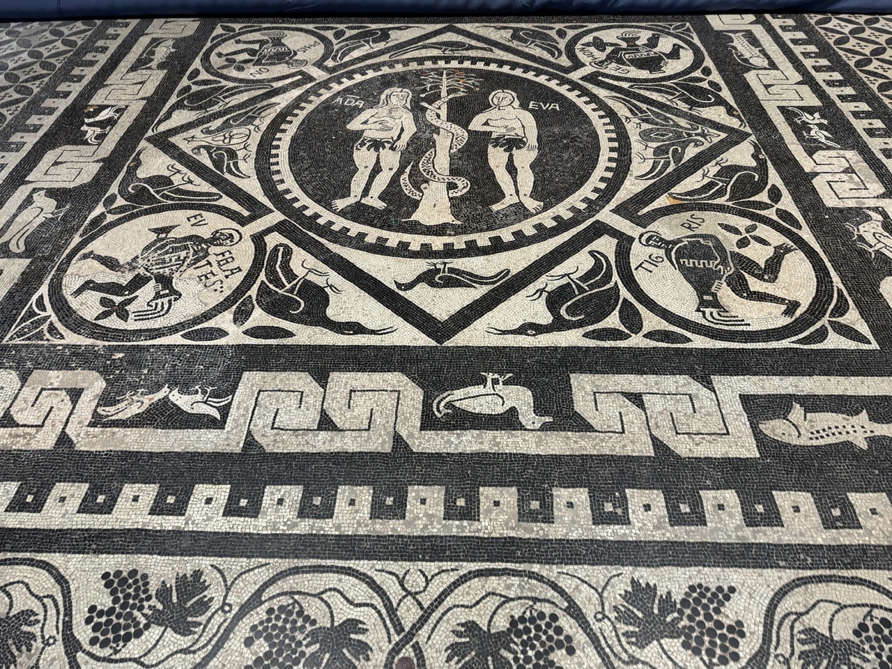 La Delegazione Fai di Novara apre le porte della Cattedrale di Santa Maria Assunta