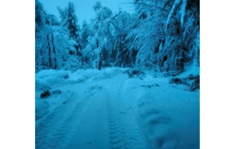 Mottarone “chiuso” per neve, traffico interrotto nel Vco, alberi caduti e guasti elettrici: notte di forte maltempo