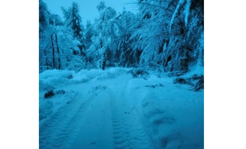 Mottarone “chiuso” per neve, traffico interrotto nel Vco, alberi caduti e guasti elettrici: notte di forte maltempo