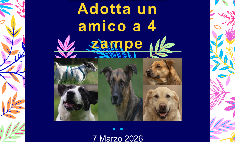 Sporting Club Monterosa tra grande equitazione e un’iniziativa per gli amici a 4 zampe