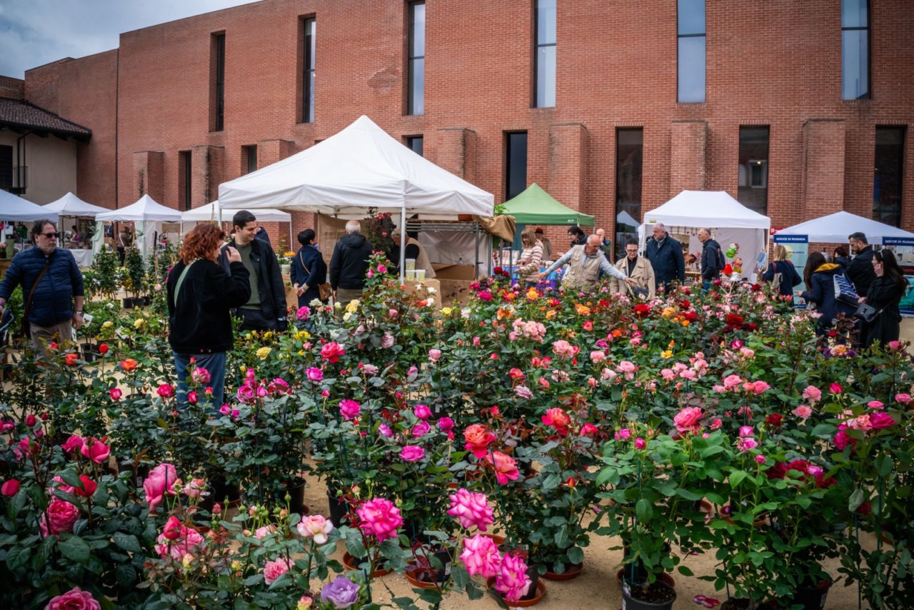 Fiorissimo al Castello: Novara si trasforma in una Corte Fiorita