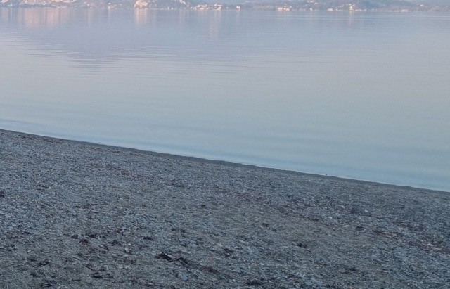 Approvato a Lesa il progetto esecutivo per la rinaturalizzazione della spiaggia di Madonna di Campagna