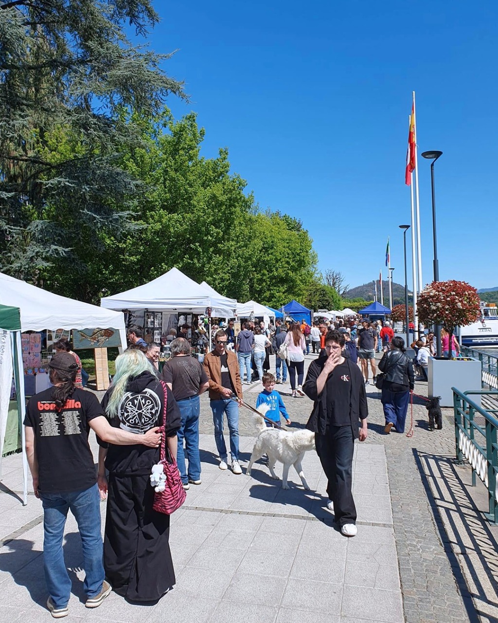 Cosa fare a Novara e provincia nel fine settimana: gli eventi del 25 e 26 aprile