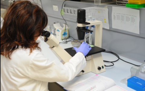 Dalla ricerca alle cure: Novara protagonista dell’immunologia che guarda all’Europa