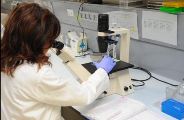 Dalla ricerca alle cure: Novara protagonista dell’immunologia che guarda all’Europa