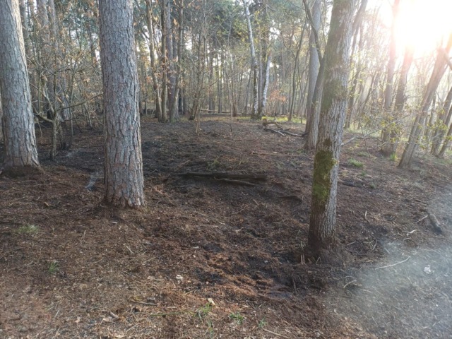 Incendio al Bosco Solivo a Borgo Ticino, si pensa a un’origine dolosa