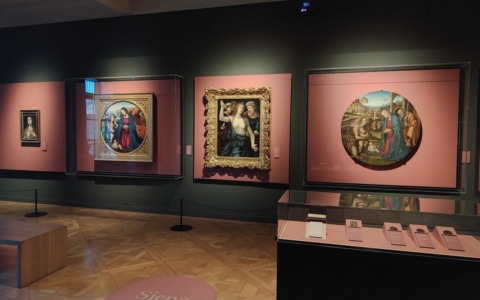 Sodoma a Torino: L’irriverente genio del Rinascimento in mostra