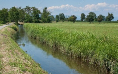 Est Sesia, via libera al prolungamento del commissariamento