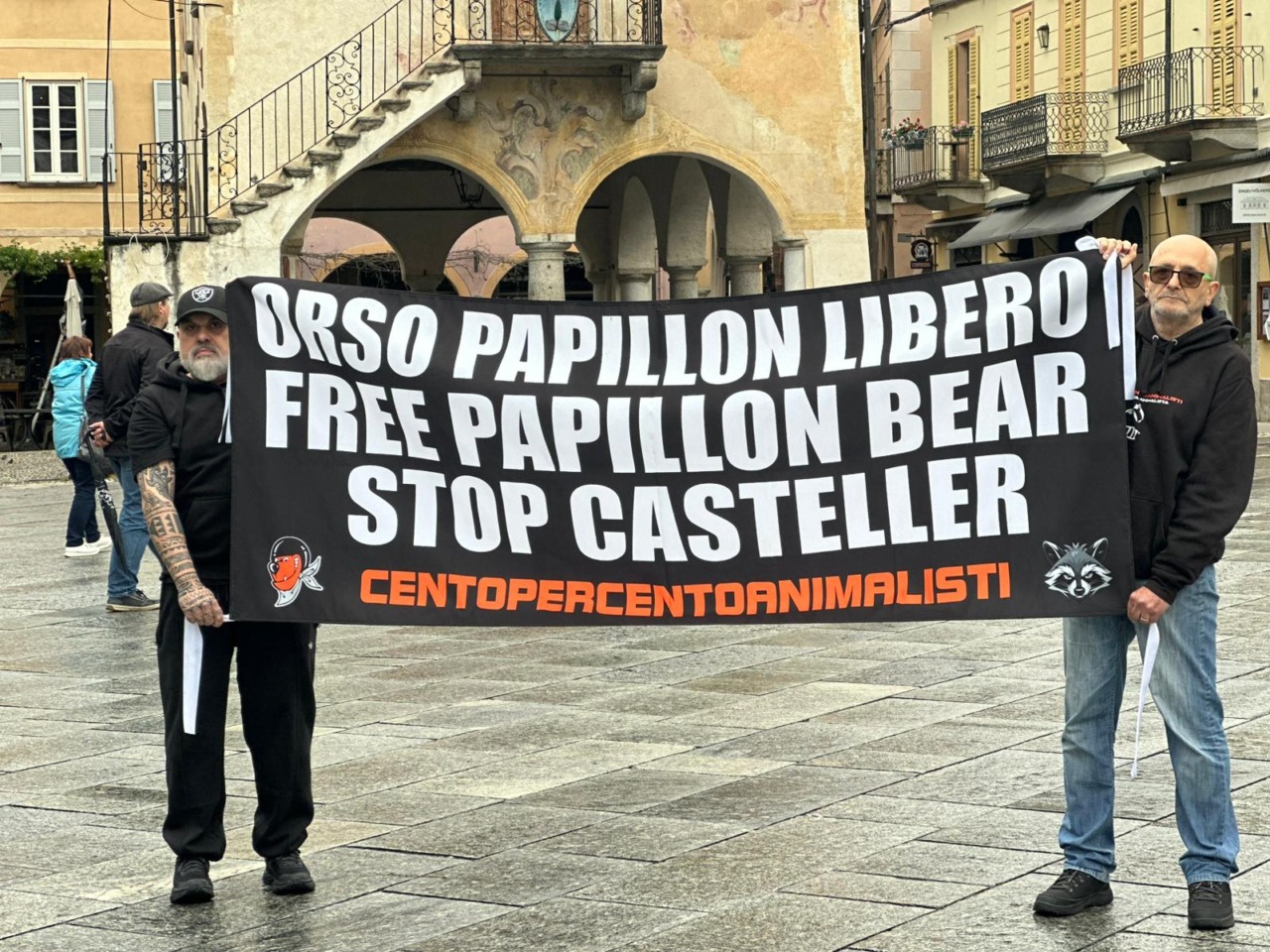Blitz animalista a Orta San Giulio per l’orso Papillon, detenuto da anni al Casteller di Trento