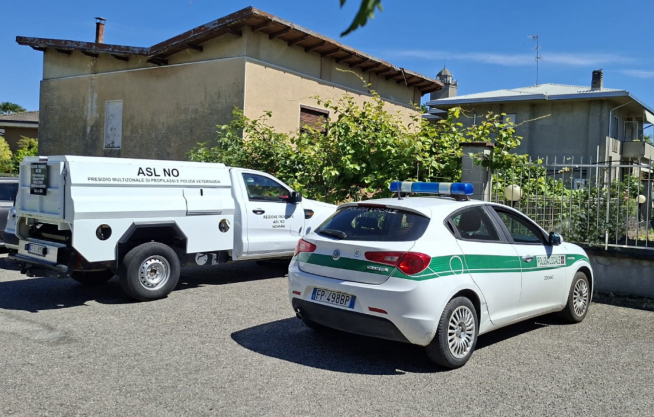 Macello abusivo in un garage a Cerano: scoperta choc della Polizia Locale