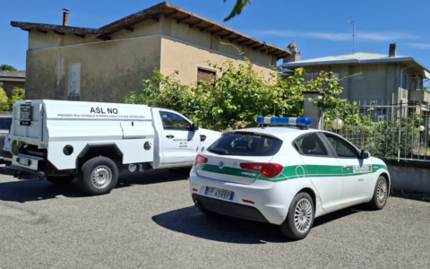 Macello abusivo in un garage a Cerano: scoperta choc della Polizia Locale