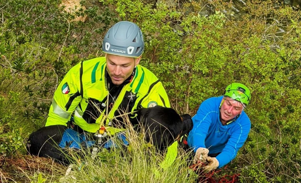 Cane disperso da una settimana salvato sulle rocce del Sesia – VIDEO