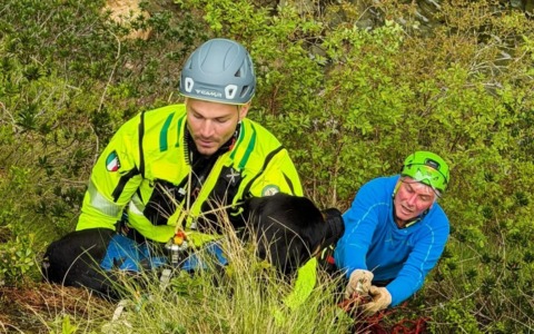 Cane disperso da una settimana salvato sulle rocce del Sesia – VIDEO