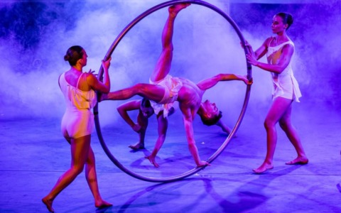 Musica, danza e intrattenimento al Broletto di Novara, lo show della Cerimonia d’Apertura dei CNU 2026
