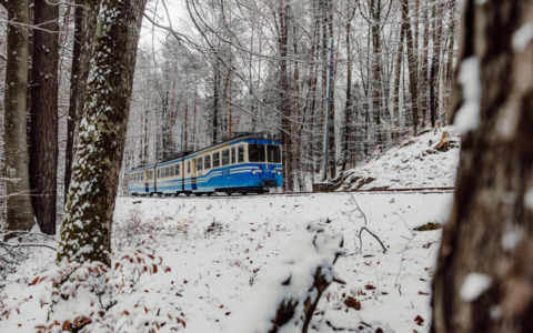 La Ferrovia Vigezzina-Centovalli piace anche a Martin Scorsese