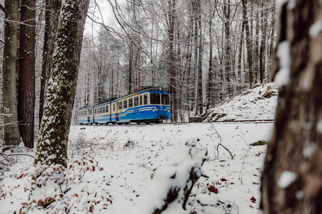 La Ferrovia Vigezzina-Centovalli piace anche a Martin Scorsese