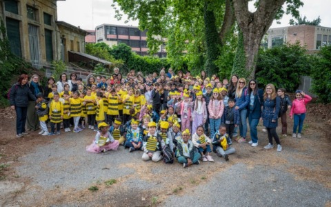 Novara, tornano le arnie di “Miele Urbano”: cento bambini protagonisti della festa delle api