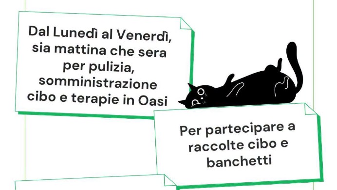 L’Oasi Felina di Trecate cerca volontari