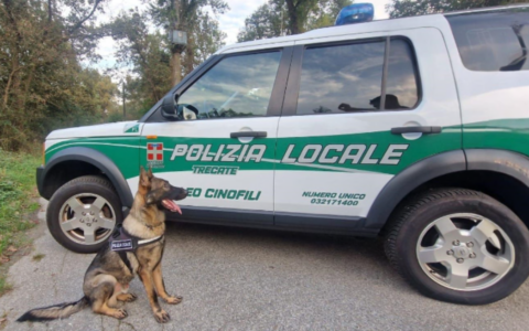 Controlli antidroga e contro l’abusivismo a Trecate: tre persone segnalate e merce sequestrata