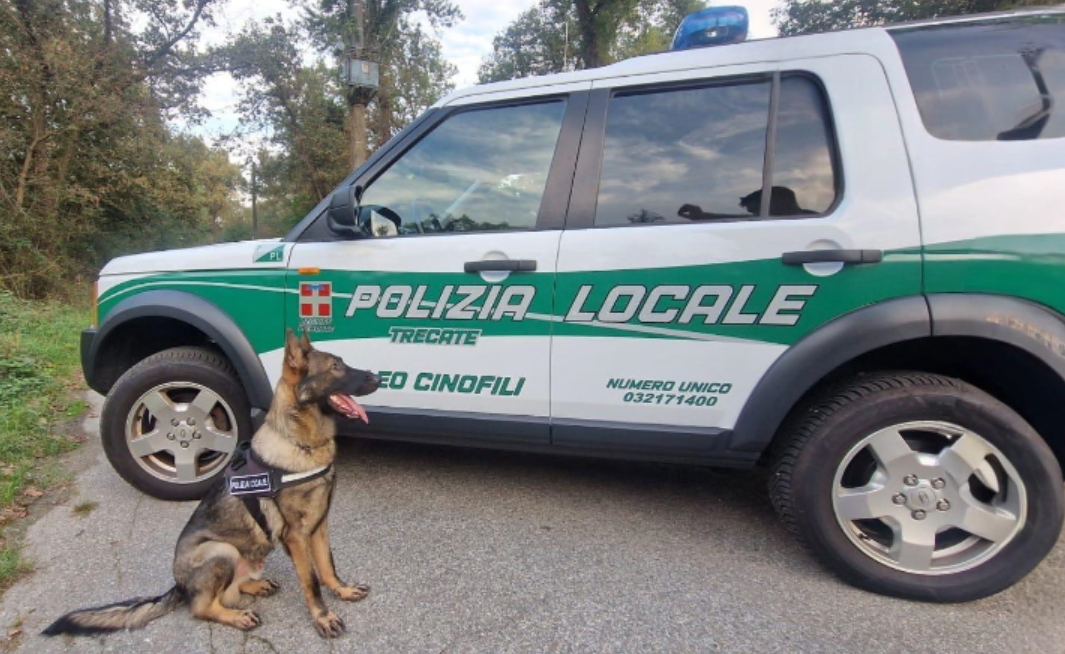 Controlli antidroga e contro l’abusivismo a Trecate: tre persone segnalate e merce sequestrata