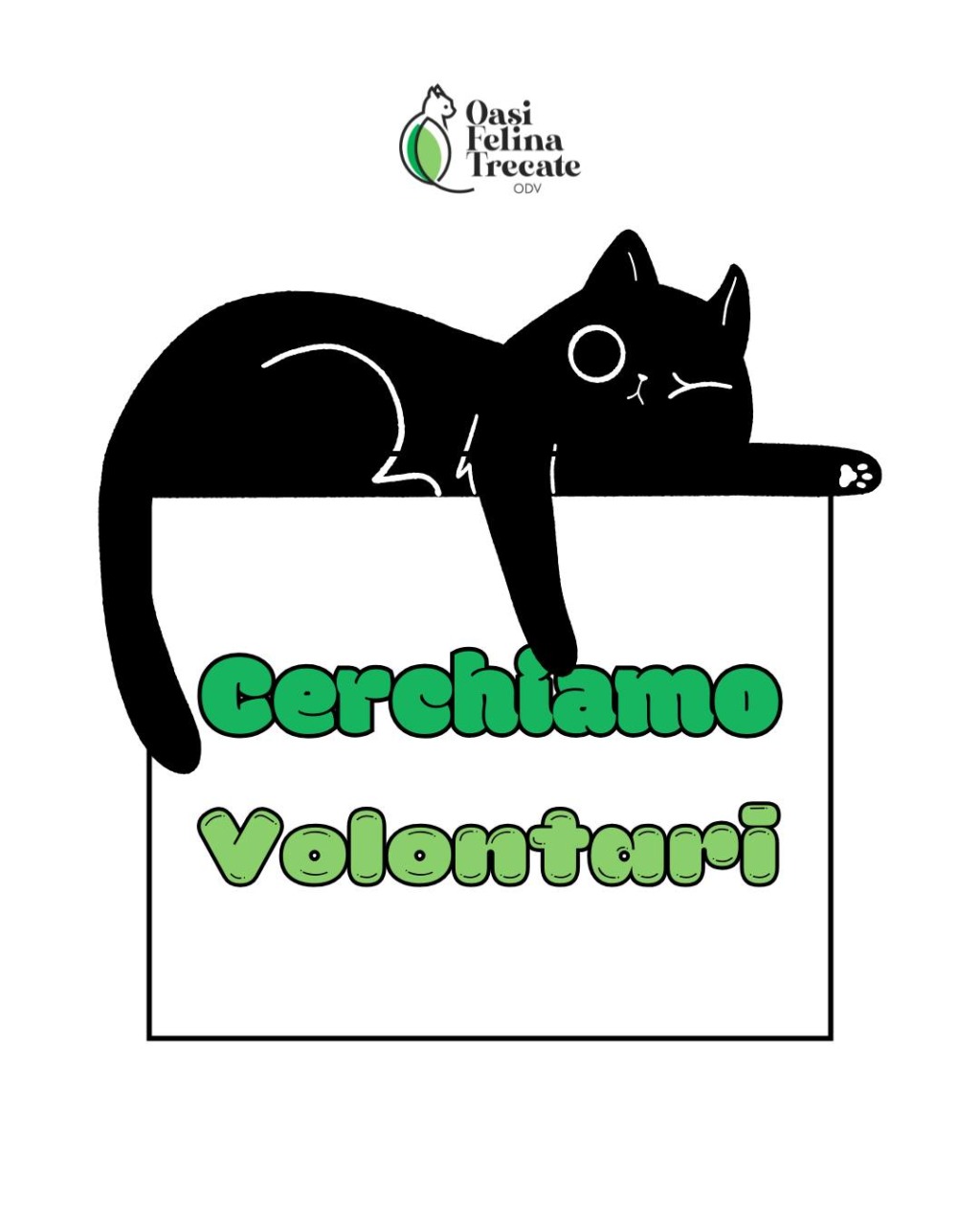 L’Oasi Felina di Trecate cerca volontari