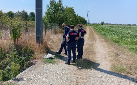 Cerano, trovata morta una cicogna bianca vicino a un traliccio: accertamenti sulle cause del decesso