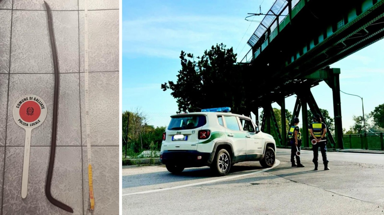 Galliate, la Polizia Locale recupera un veicolo rubato e sequestra un piede di porco