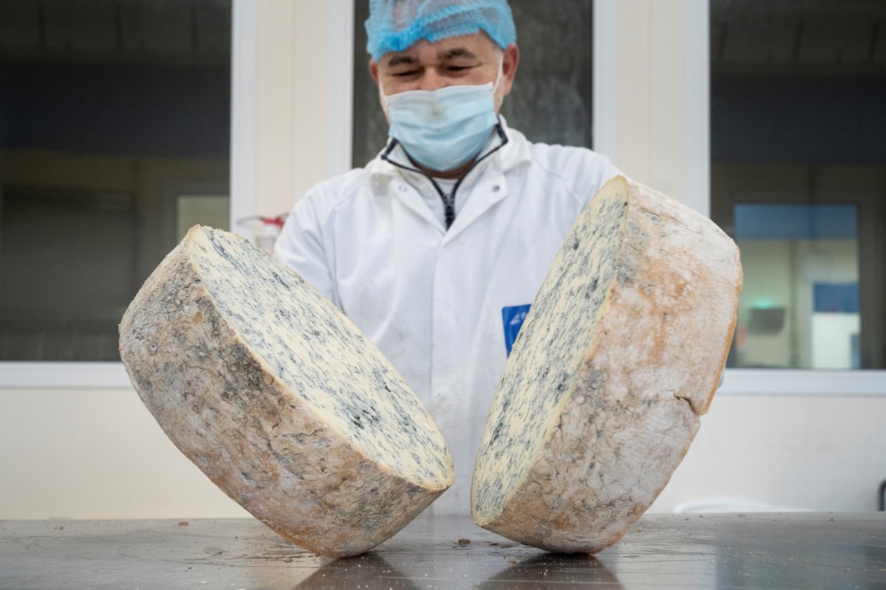 Gorgonzola Dop, produzione stabile nel 2026: export in crescita tra Francia, Giappone e Polonia