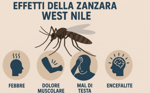 West Nile, salgono a 18 i casi nel Novarese: è la provincia più colpita del Piemonte