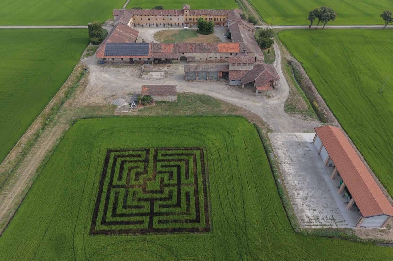 Un labirinto nella risaia inaugura Cantieri d’Arte 2026: la Bassa Novarese diventa un’opera a cielo aperto