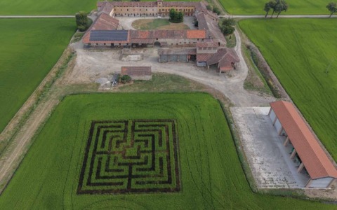 Un labirinto nella risaia inaugura Cantieri d’Arte 2026: la Bassa Novarese diventa un’opera a cielo aperto