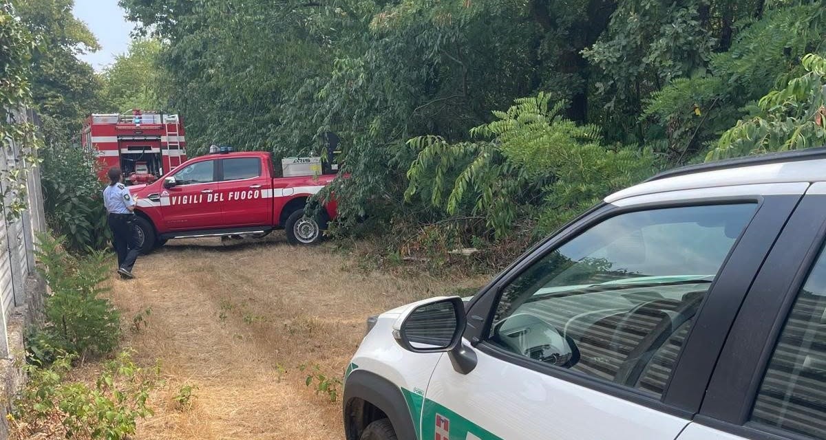 Galliate, agente della Polizia Locale fuori servizio interviene su un incendio nel Parco del Ticino