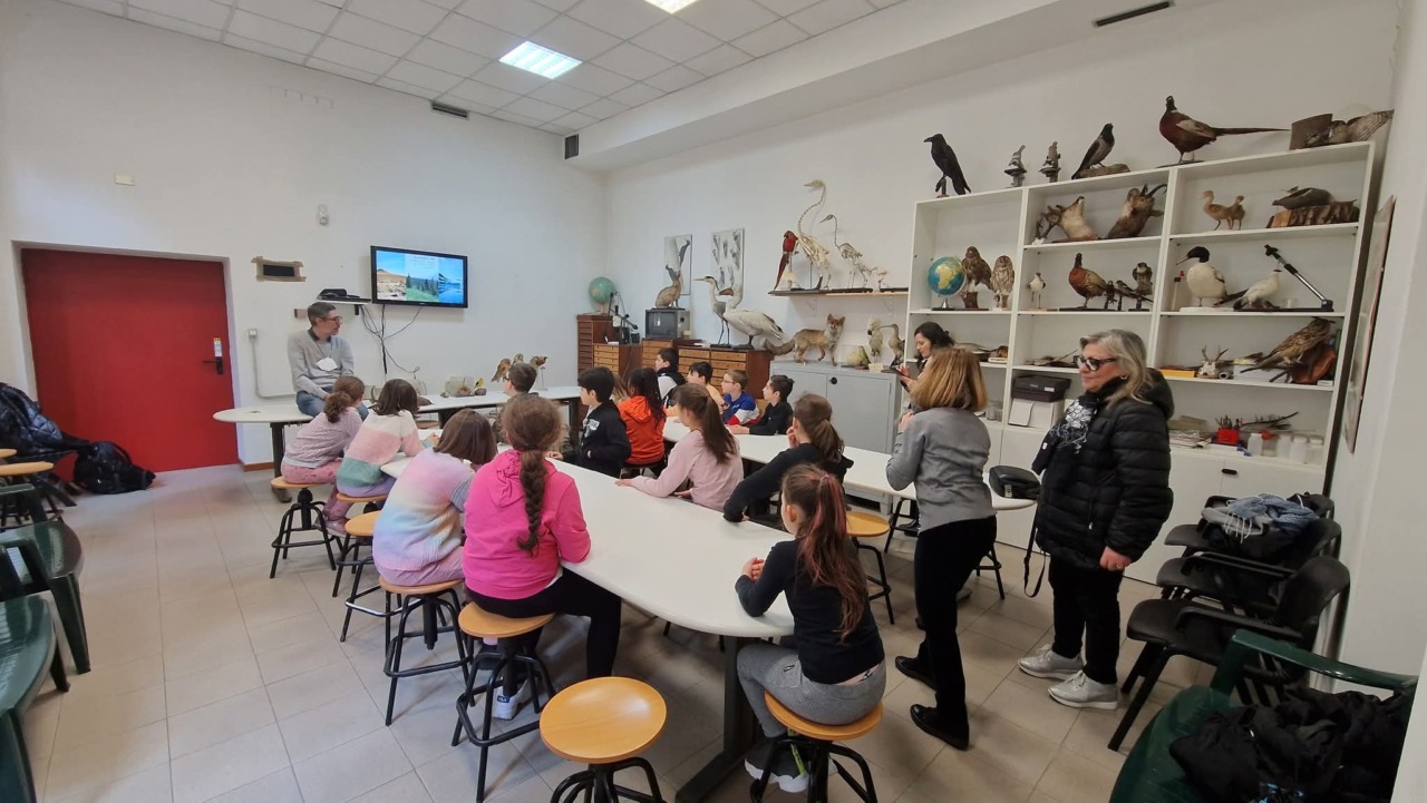 Novara, Musei Civici aperti alle scuole: visite e laboratori gratuiti per l’anno scolastico 2026-2027