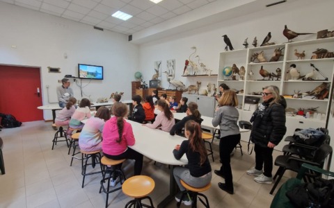 Novara, Musei Civici aperti alle scuole: visite e laboratori gratuiti per l’anno scolastico 2026-2027