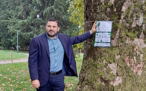 Tree Tag Day, a Novara nove alberi raccontano il valore del verde: più di 53 tonnellate di CO₂ rimosse