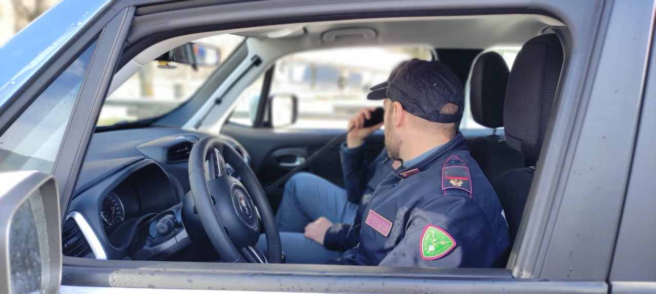 Crevoladossola, smantellata una piazza di spaccio nei boschi: sequestrati cocaina e hashish